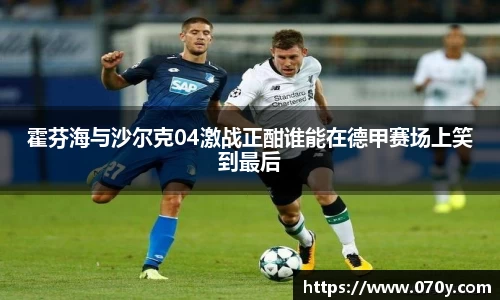 霍芬海与沙尔克04激战正酣谁能在德甲赛场上笑到最后